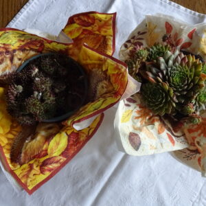 Mitgliederversammlung